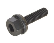 Profile Racing Hex Head Axle Bolt (3/8x16tpi) (Black) | product-related